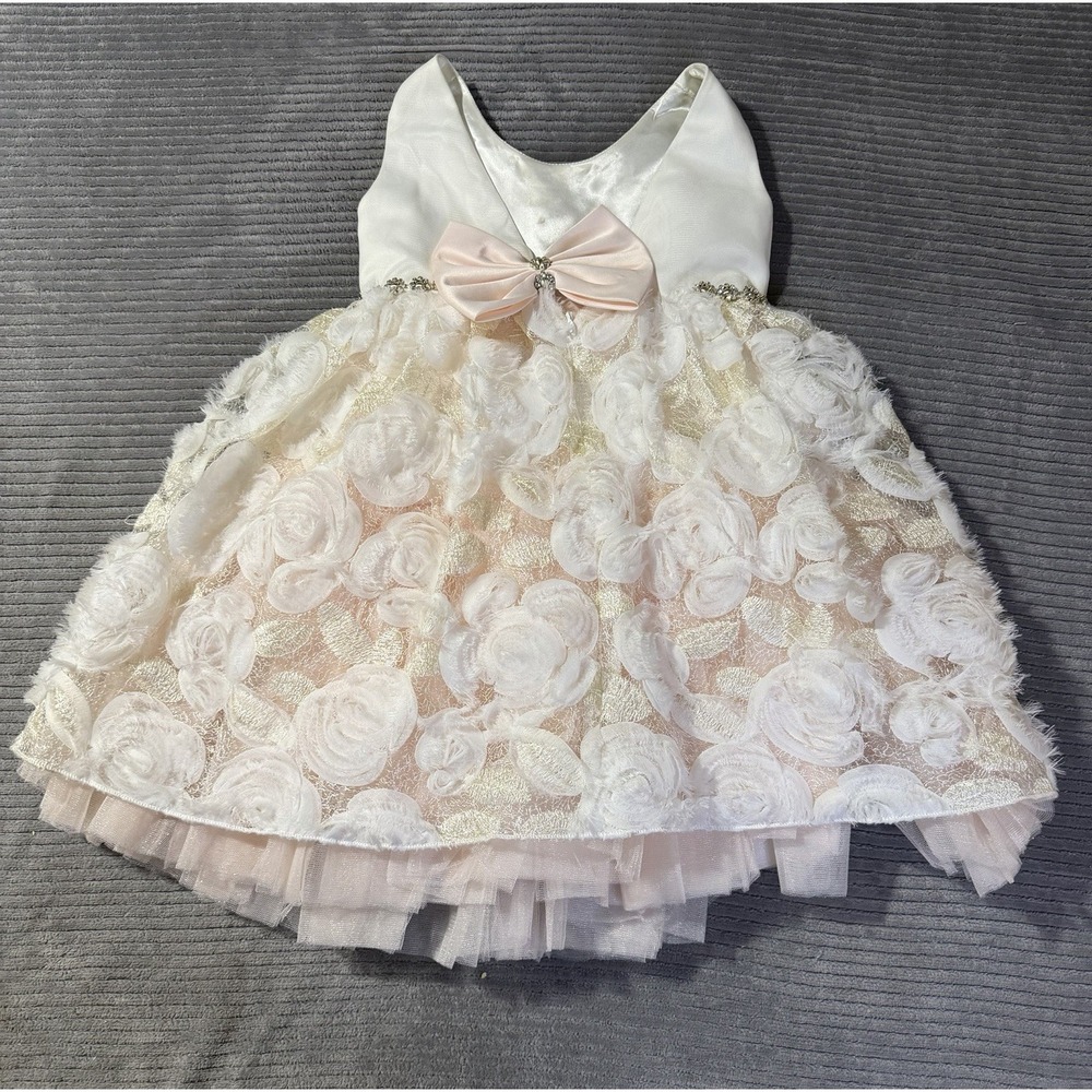 Couture Princess dress is a size 5. Read
